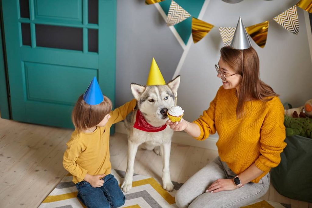 Dog pet birthday party, Happy family mother and child congratulating pet with birthday cupcake happy birthday.